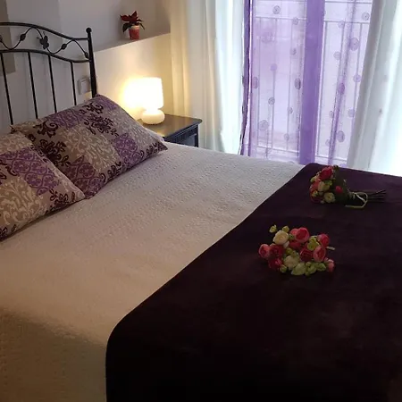 Purple Dream Σίτζες